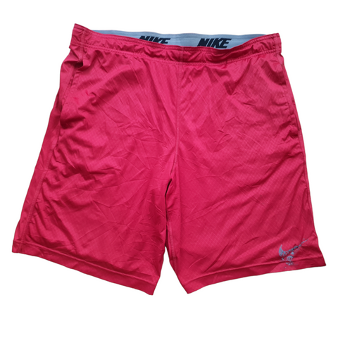 [L] Nike Shorts