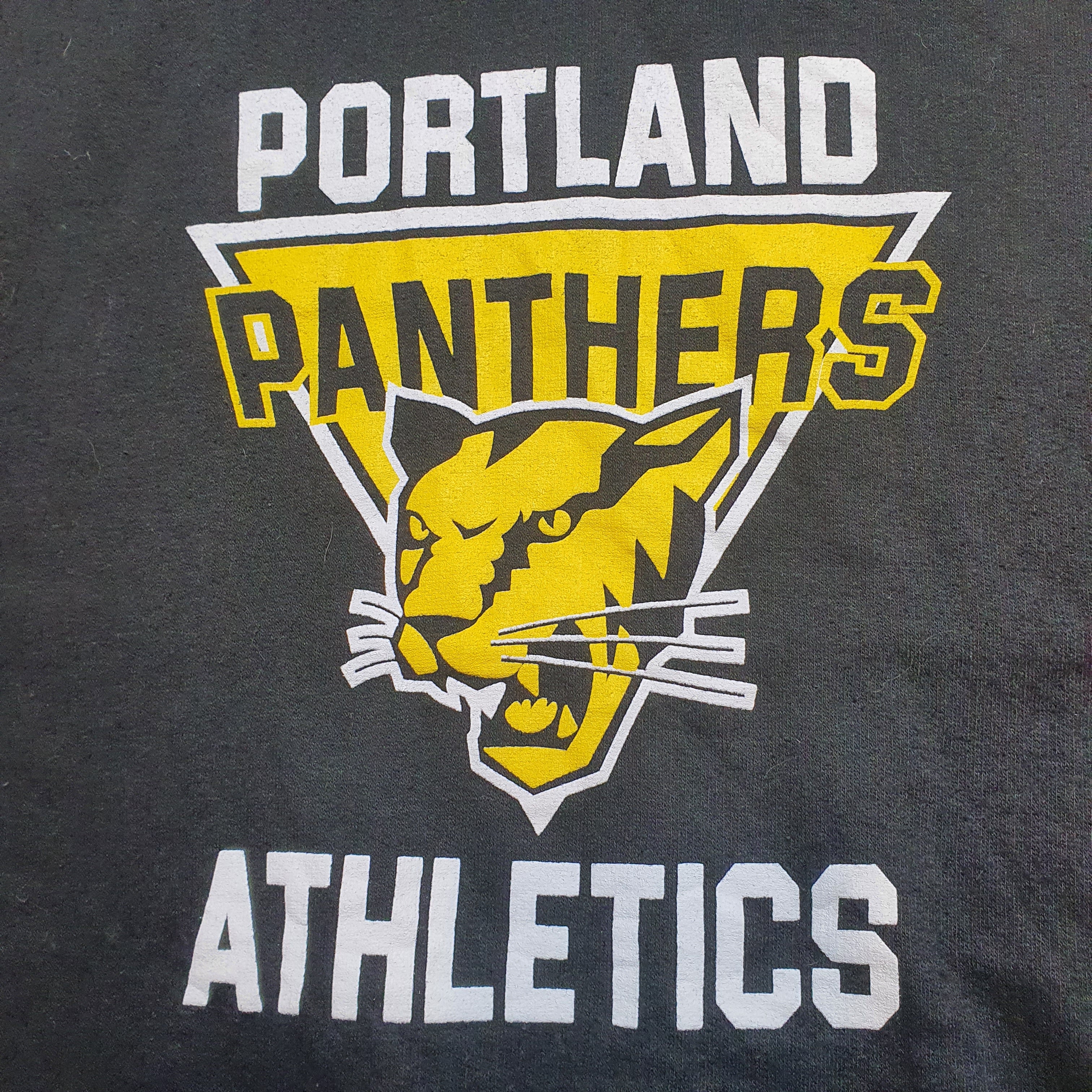 [M] MV Sport Portland Panthers Hoodie - NJVintage